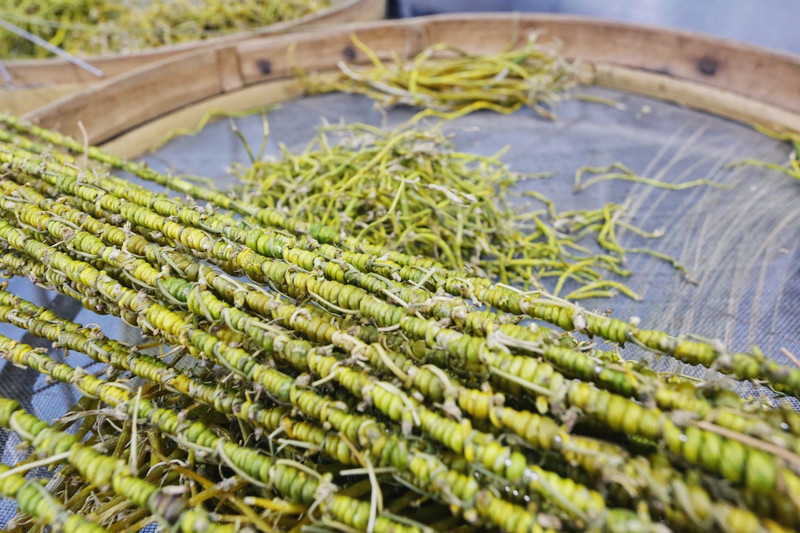 石斛花茶：清热解毒的天然宝库